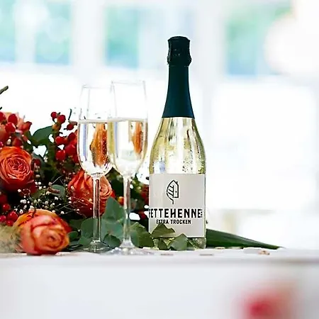 Kristallhotel Fettehenne 3* Leverkusen